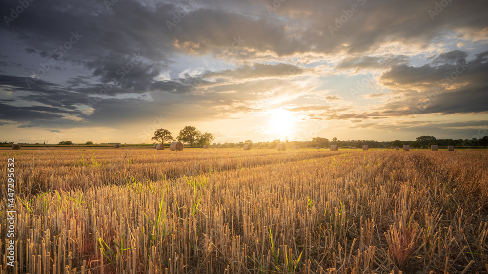 Summer sunset over a harvested cornfield Summer sunset over a harvested cornfield