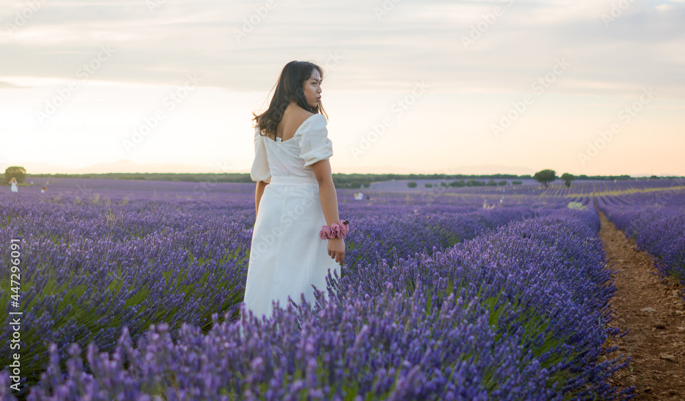 outdoors romantic portrait of young happy and attractive woman in white summer dress enjoying carefree at beautiful lavender flowers field in travel and holiday concept outdoors romantic portrait of young happy and attractive woman in white summer dress enjoying carefree at beautiful lavender flowers field in travel and holiday concept