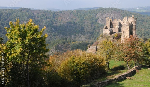 Ch  teau fort de Blot-le-Rocher  dit Ch  teau Rocher Auvergne-Rh  ne-Alpes Puy-de-D  me Saint-R  my-de-Blot France 