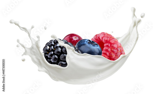 Forest berries with milk splash isolated on white background photo
