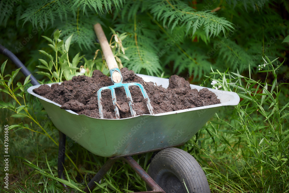 Garden wheelbarrow with compost and gardening tools - obrazy, fototapety, plakaty 