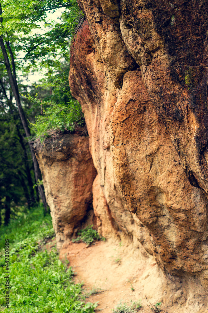 Landscape with high mountains in the summer. Beautiful forest in spring. Landscape with high mountains in the summer. Beautiful forest in spring.