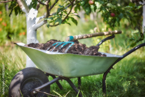 Vászonkép Garden wheelbarrow with compost and gardening tools