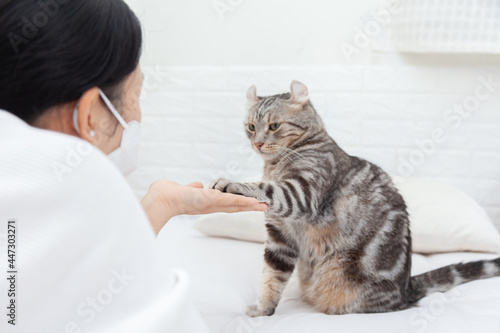 Fototapeta Give me your hand for promise , Woman asking to shake hands with a cat