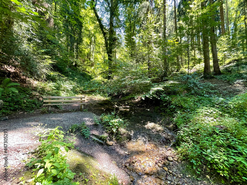 nature walk by the lake, through the woods, up a mountain