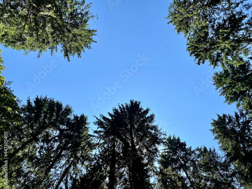 nature walk by the lake, through the woods, up a mountain