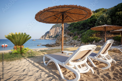 umbrellas and sun loungers on the beach