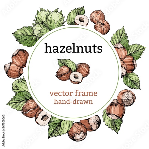 Hazelnut hand-drawn round frame or background. Sketches in the vintage style of engraving