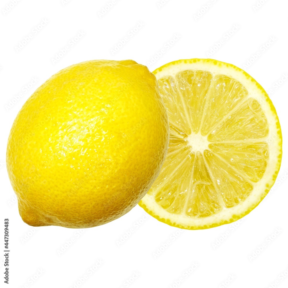 レモン イラスト リアル セット 断面 1 Stock Illustration Adobe Stock レモン イラスト リアル セット 断面 1 Stock Illustration Adobe Stock