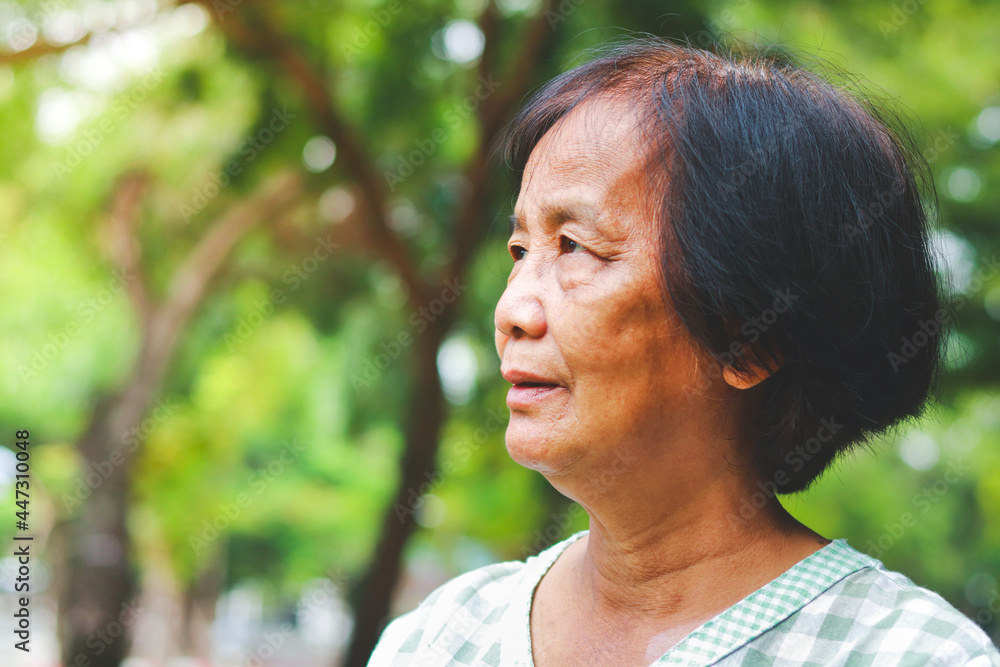 Asian elderly woman standing in the garden feel happy. senior health care concept Happy retirement life. senior community. Copy space Asian elderly woman standing in the garden feel happy. senior health care concept Happy retirement life. senior community. Copy space