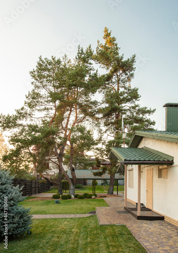 Country beige house with green roof with beautiful lawn and garden. Vertical Photo. High quality photo