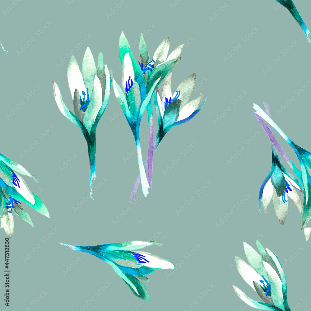 White crocuses watercolor isolated on turquoise grey background seamless pattern for all prints.