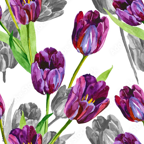 iolet and grey tulips watercolor in white background seamless pattern for all prints. photo