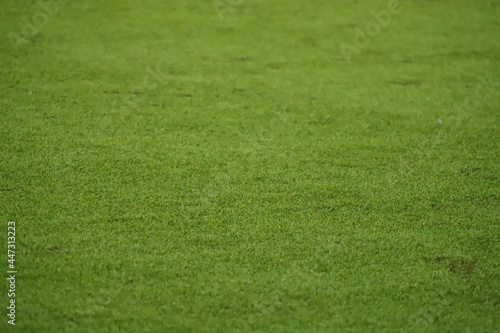 Synthetic green grass of a football field, highlighted by its texture 