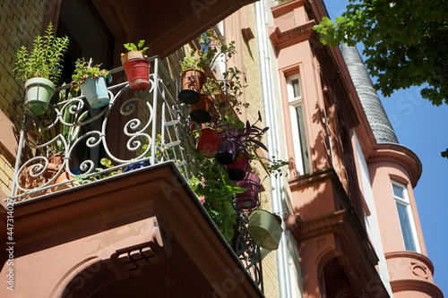 Grünpflanzen in Blumentöpfen auf einem alten Balkon mit Schmiedeeisen eines Altbau im Sommer bei blauem Himmel und Sonnenschein in einer Allee im Nordend von Frankfurt am Main in Hessen
