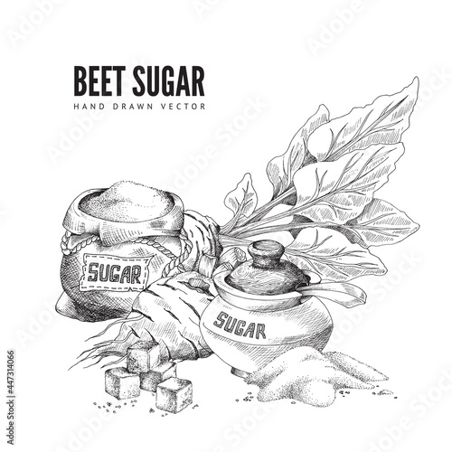 Vector design of poster with beet sugar, natural food sweetener.