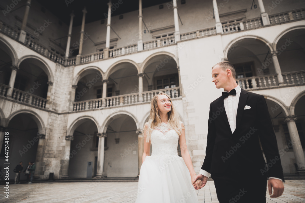 Fototapeta premium Wedding couple bride and groom holding hands