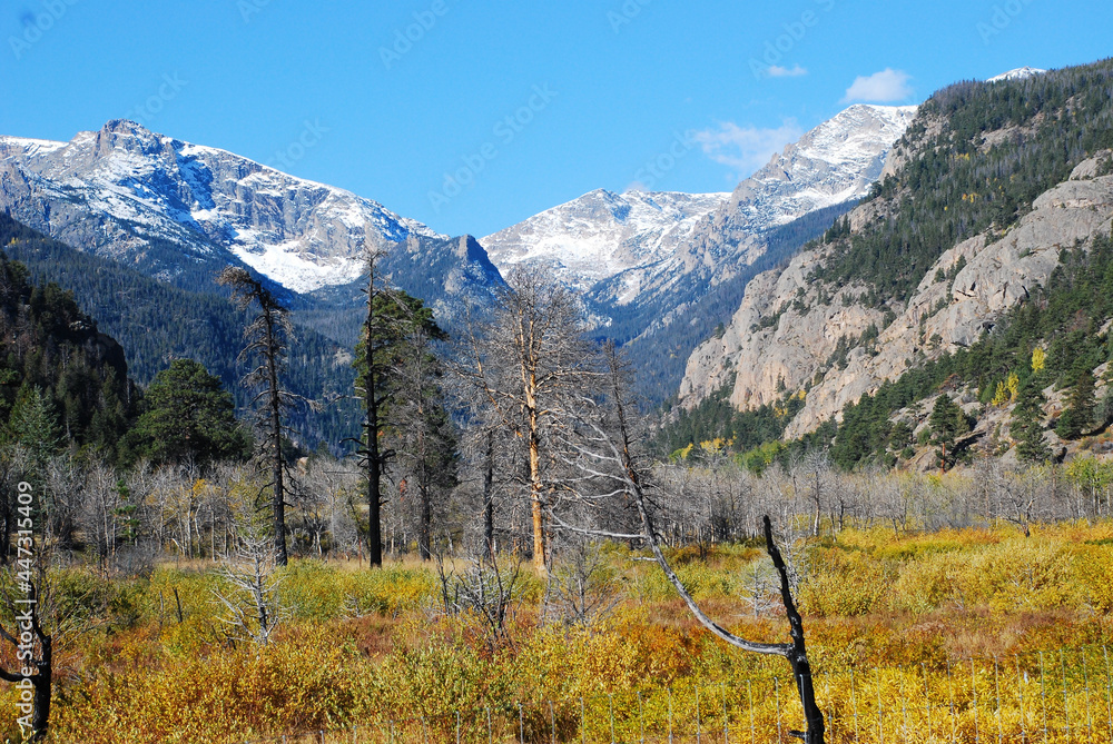Fototapeta premium A stream coursing through the Rocky Mountains