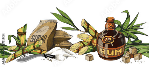 Hand-drawn semless vector illustration of sugar cane, cane sugar and bottle of rum.