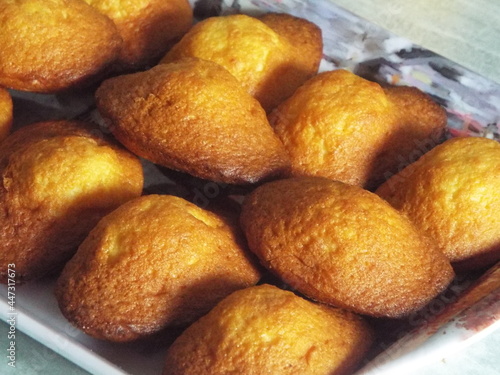 Photos Madeleines