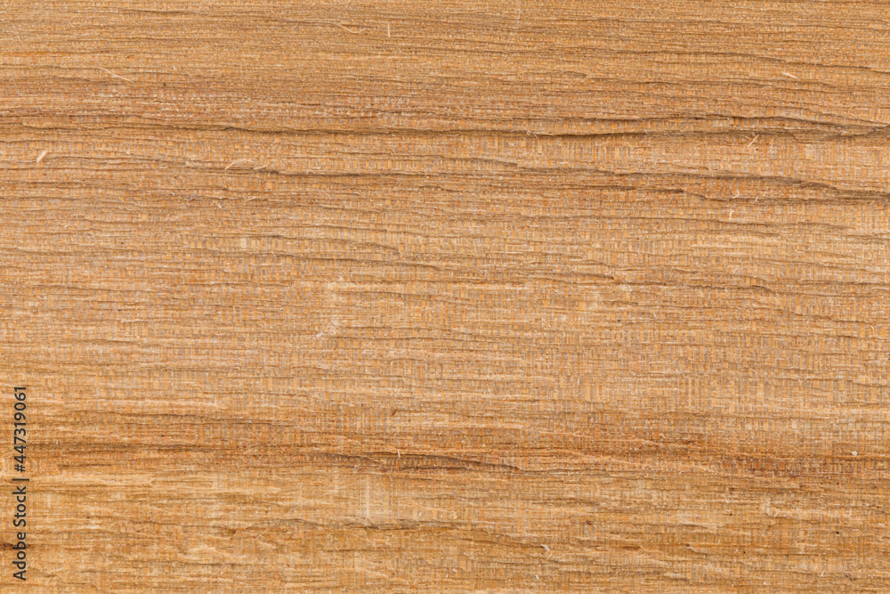 Birch wood texture Birch wood texture