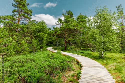 Holzweg durch das Schwarze Moor in der Rhön