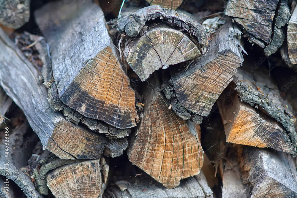 Texture wooden logs on dark background.Wooden background. Texture wooden logs on dark background.Wooden background.