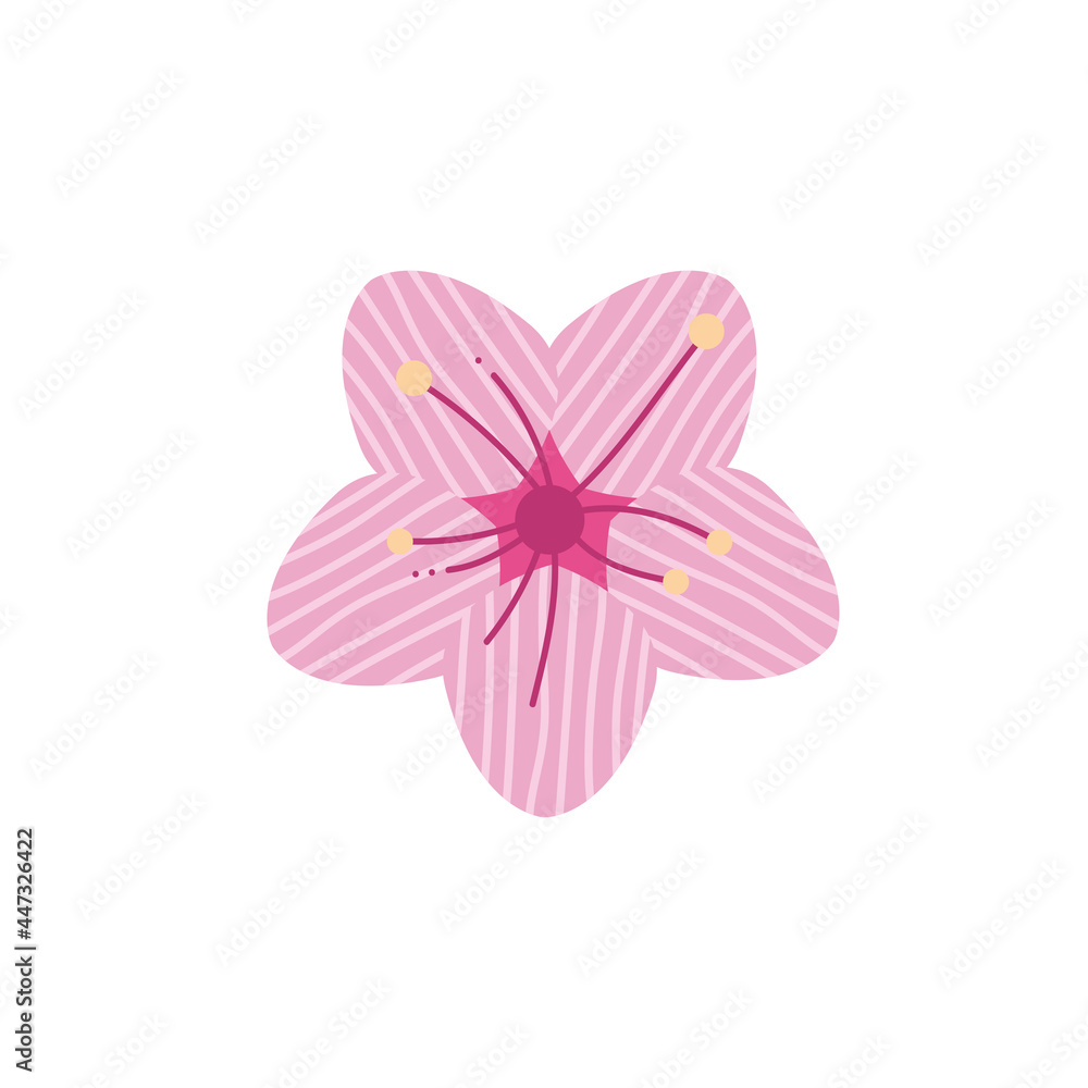 south korean pink flower