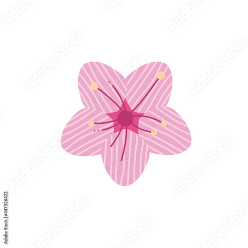 south korean pink flower