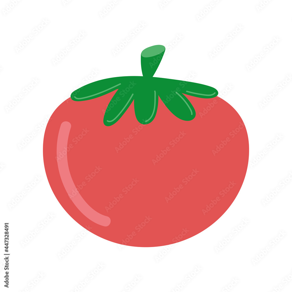 tomato fresh vegetable tomato fresh vegetable