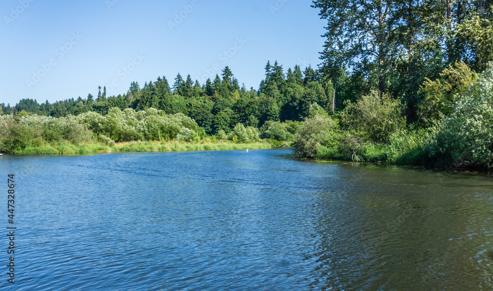 Fototapeta premium Sammamish River Landscape 2
