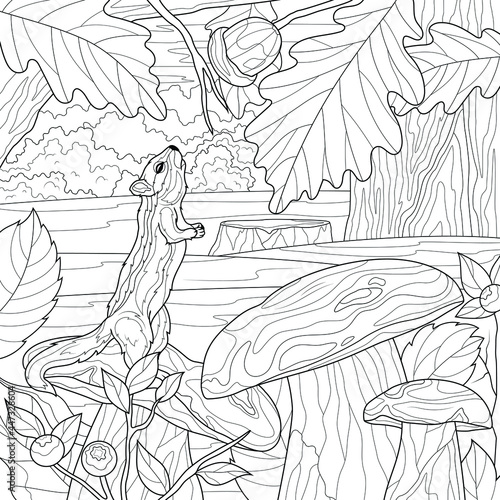 Chipmunk in the forest among the mushrooms.Coloring book antistress for children and adults. Illustration isolated on white background.Zen-tangle style. Hand draw