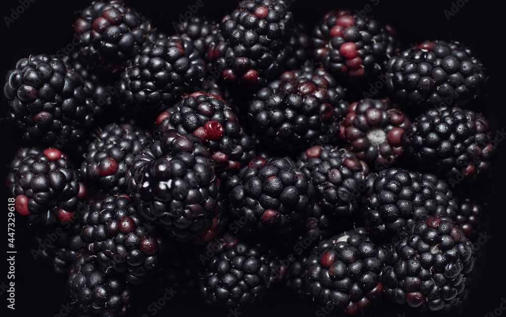 Close-up studio picture of fresh blackberries, pattern concept. Close-up studio picture of fresh blackberries, pattern concept.