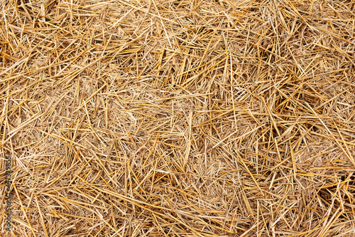 Natural textured abstract background of dry haystack.