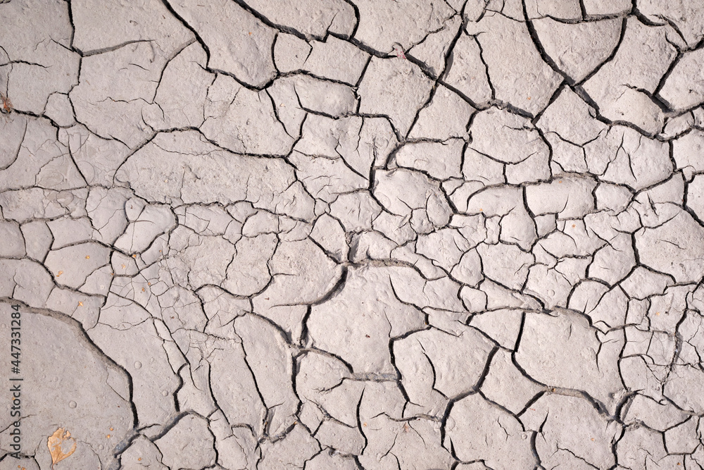Fototapeta premium Area of Dried Land Suffering from Drought, ground cracks. texture of grungy dry cracking parched earth...