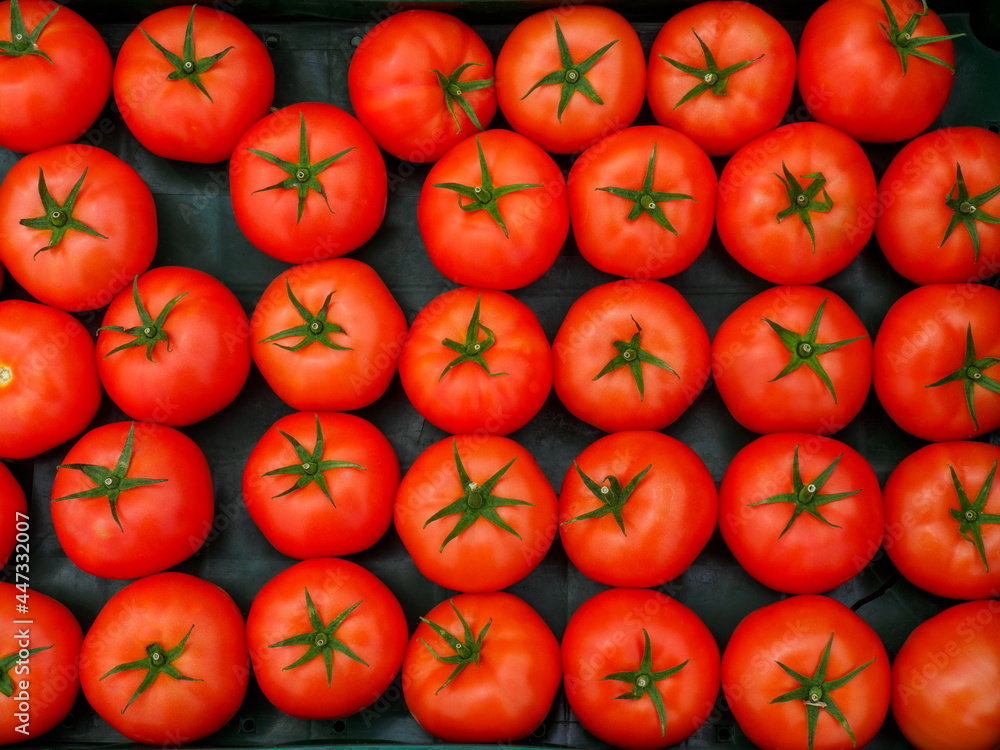 tray of fresh tomatoes tray of fresh tomatoes