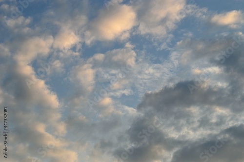 Fototapeta Naklejka Na Ścianę i Meble -  Cirdle gray-white clouds in the rays of sunset .