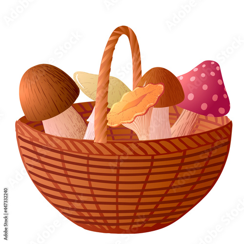 Vector basket with mushrooms isolated on white background