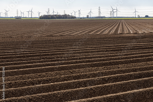 Ploughed soil in fields ridged for planting potatoes at Amcotts, North Lincolnshire UK photo