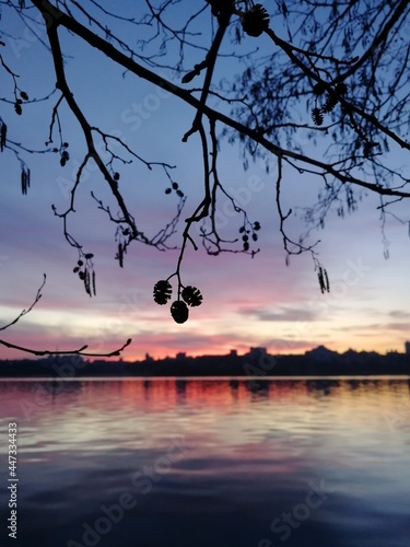 sunset over the lake