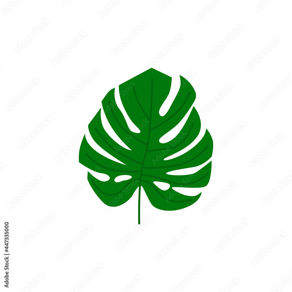 Monstera Deliciosa plant leaf from tropical forests isolated on white background. Can be used for greeting cards, flyers, invitations, web design, to everything. File has clipping path. Monstera Deliciosa plant leaf from tropical forests isolated on white background. Can be used for greeting cards, flyers, invitations, web design, to everything. File has clipping path.