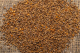 dried coriander seeds on burlap background