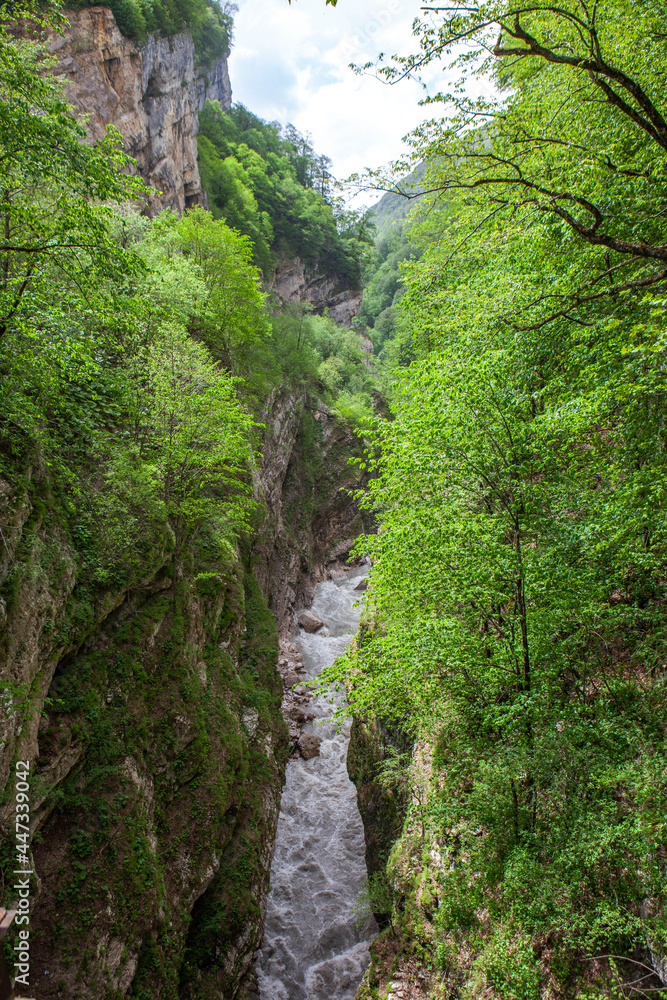 Akhsinta canyon (Urukh canyon). Digorskoe gorge. North Ossetia. Russia.