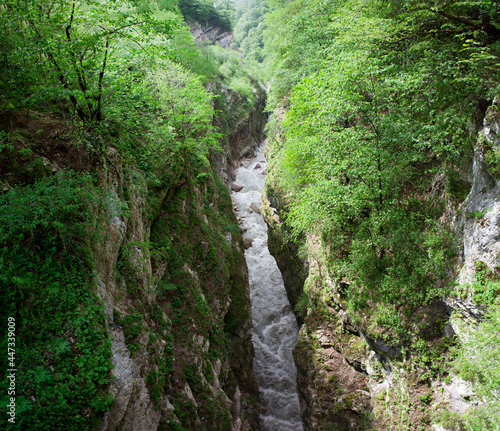 Akhsinta canyon (Urukh canyon). Digorskoe gorge. North Ossetia. Russia. photo