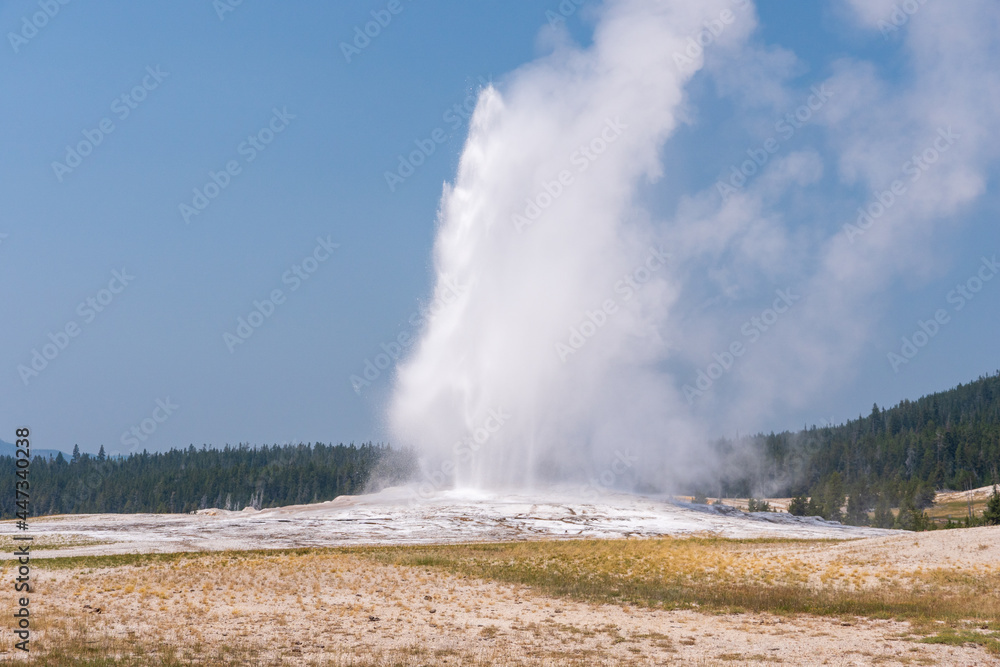 Landscape Photo of Old Faithful going off in summer