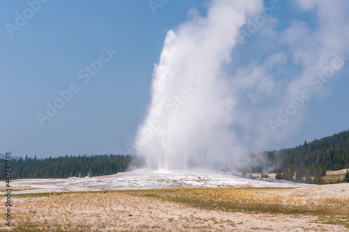 Landscape Photo of Old Faithful going off in summer