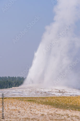 Wallpaper Mural Portrait Photo of Old Faithful going off in summer Torontodigital.ca
