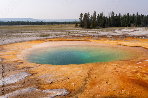 Landscape photo of a Yellowstone National Park Opal Pool