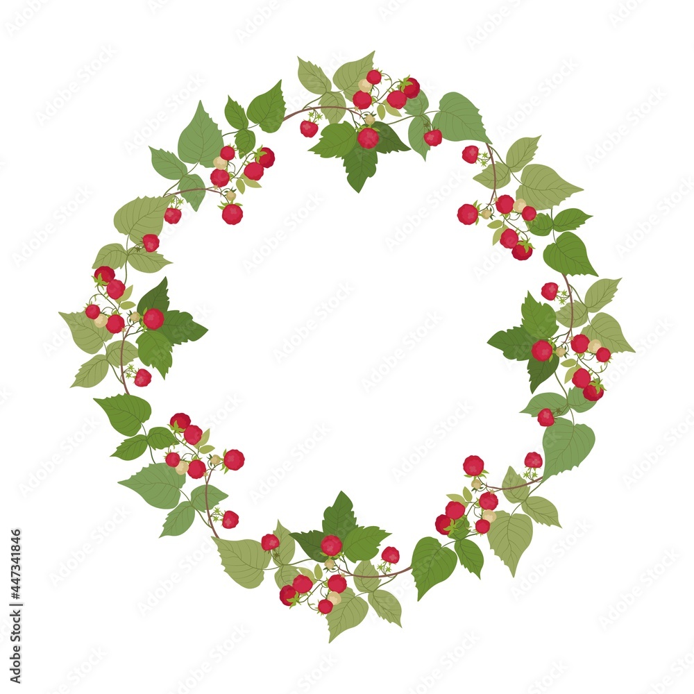 Wreath of raspberry on a white background with place for text. Vector illustration