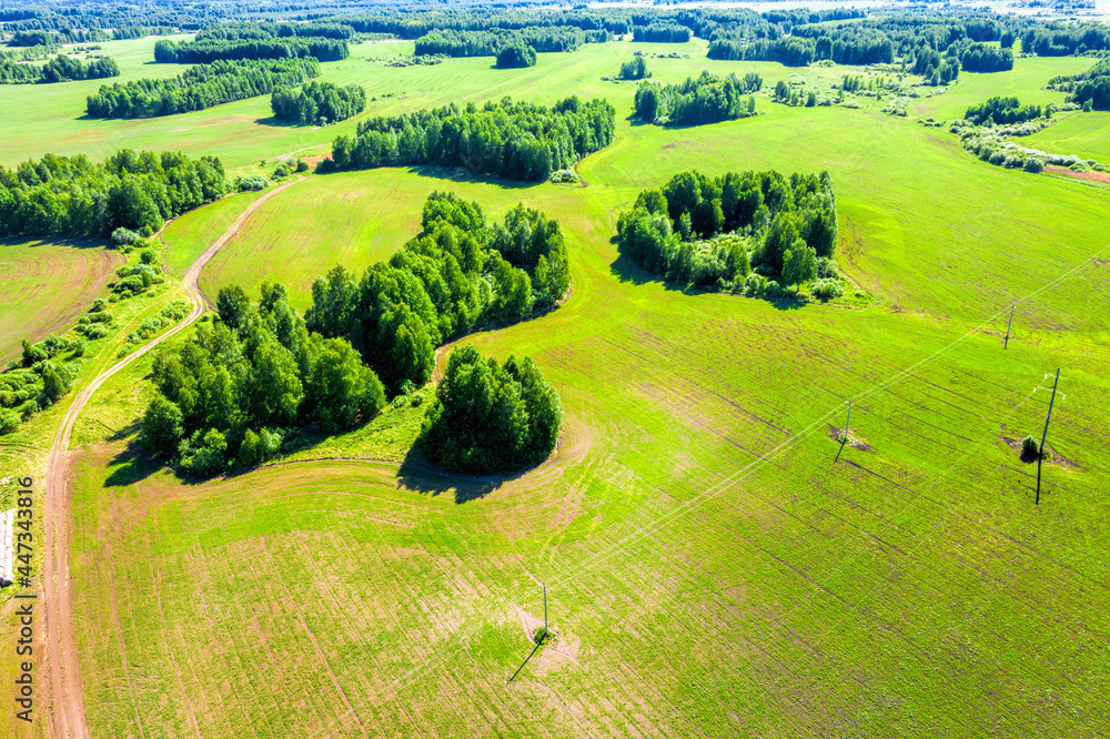 Aerial view from height of cultivated fields and forest edges on summer sunny day